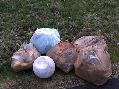 Trash at Wappingers Creek, NY